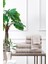 Organik Spruce Mutfak ve Kurulama Havlusu 30X50 cm 1