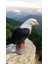 Kartal Heykeli 1