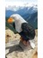Kartal Heykeli 3