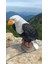 Kartal Heykeli 4