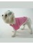 Kedi Köpek Yazlık Kıyafet – Pembe Polo Yaka Tişört 3