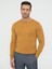 Erkek Hardal Slim Fit Bisiklet Yaka Triko Kazak 50240208-VR072 1