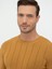 Erkek Hardal Slim Fit Bisiklet Yaka Triko Kazak 50240208-VR072 2
