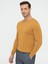 Erkek Hardal Slim Fit Bisiklet Yaka Triko Kazak 50240208-VR072 3