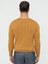 Erkek Hardal Slim Fit Bisiklet Yaka Triko Kazak 50240208-VR072 4