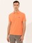 Erkek Somon Polo Yaka Slim Fit Basic T-Shirt 50250189-VR047 3