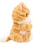 BAW05000 Baby Paws Sesli Kedi 20 cm Peluş 4