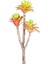 Yapay Kaktüs Sukulent Kırmızı/yeşil 35 cm 2
