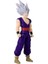 30 cm Dragon Ball Sınır Tanımaz Serisi Figürleri, Son Gohan Beast 2