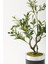 Yapay Zeytin Ağacı 85 cm Siyah Gümüş Metal Saksı 2