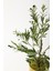 Yapay Zeytin Ağacı 85 cm Gold Metal Saksı 2