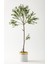 Yapay Zeytin Ağacı 160 cm Beyaz Gold Metal Saksı 1