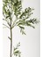 Yapay Zeytin Ağacı 160 cm Beyaz Gold Metal Saksı 3