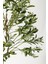 Yapay Zeytin Ağacı 175 cm Gold Metal Saksı 3
