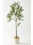 Yapay Zeytin Ağacı 175 cm Krem Gold Metal Saksı 1
