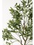 Yapay Zeytin Ağacı 175 cm Krem Gold Metal Saksı 2