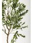 Yapay Zeytin Ağacı 175 cm Krem Gold Metal Saksı 3