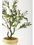 Yapay Zeytin Ağacı 85 cm Krem Gold Metal Saksı 3