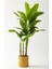 Yapay Muz Ağacı 180 cm Gold Metal Saksı 1