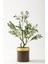 Yapay Zeytin Ağacı 85 cm Kahverengi Gold Metal Saksı 1