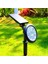 LED Solar Kazıklı Çim Armatür Cata Güneş Enerjili LED Işık Çim Lambası Bahçe Ağaç Çalı Duvar Aydınlatma (Gün Işığı) 1