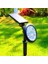 LED Solar Kazıklı Çim Armatür Cata Güneş Enerjili LED Işık Çim Lambası Bahçe Ağaç Çalı Duvar Aydınlatma (Gün Işığı) 3