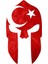 Aksesuar Ay Yıldız Türk Bayrağı Miğfer Sticker 15 x 8,5 cm 1