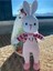 Elite Amigurumi Sevimli Tavşan 1 Adet 2