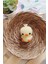 Amigurumi Ilk Oyuncağım - Penguen - Civciv Anahtarlık (1 Adet) 1 Adet 1