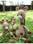 Elite Amigurumi Zürafa Uyku Arkadaşı Emzik Zinciri Çıngırak Set 1 Adet 1