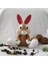 Tavşan Rabbit Amigurumi Organik Oyuncak 1 Adet 1