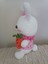 Amigurumi Minik Tavşan 15 Cm. 1 Adet 2