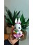 Amigurumi Oyuncak Tavşan Mini Havuçlu Ilk Arkadaşım 1 Adet 2