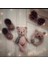 Elite Amigurumi Ayıcıklı 3lü Set 1 Adet 1