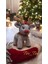 Elite Amigurumi %100 El Yapımı Sevimli Geyik ❤️❤️ 1 Adet 1