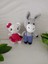 Hellokitty ve Oyuncak Eşek (El Örgüsüdür) 1 Adet 1