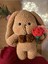 Elite 30CM El Emeği Amigurumi Tavşan ve 2 Adet Gül (Isim Işlemesi Yapılır) 1 Adet 1