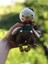 Amigurumi Ördek Yılbaşı Temalı Oyuncak 1 Adet 3