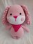 Amigurumi Tatlı Pembe Köpek 1 Adet 1
