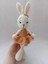 Amigurumi Oyuncak Tavşan Lena 1 Adet 1