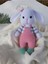 Amigurumi Sevimli Tulumlu Tavşan 1 Adet 1