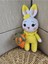 Ami Amigurumi 1 Adet 3