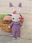 Amigurumi Organik Örgü Oyuncak Tavşan 1 Adet 1