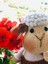 Kuzu Amigurumi 1 Adet 3