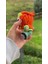 Elite Valorant Ajanı Örgü Oyuncak Amigurumi 1 Adet 2