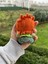 Elite Valorant Ajanı Örgü Oyuncak Amigurumi 1 Adet 4