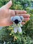 Elite Amigurumi Koala Anahtarlık 1 Adet 1