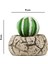 Beton Saksılı Yapay Kaktüs - Gri - 11x5x9 cm 5