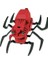 - Spider Robot/ Örümcek Robot (3392) 2
