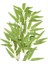 Deco Yapay Bamboo Yaprağı - Yeşil - 64 cm 4